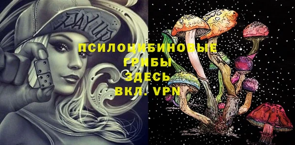spice Няндома