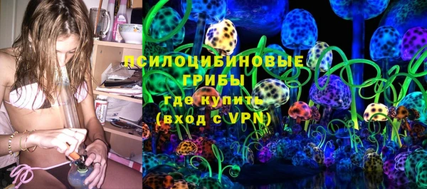 spice Няндома