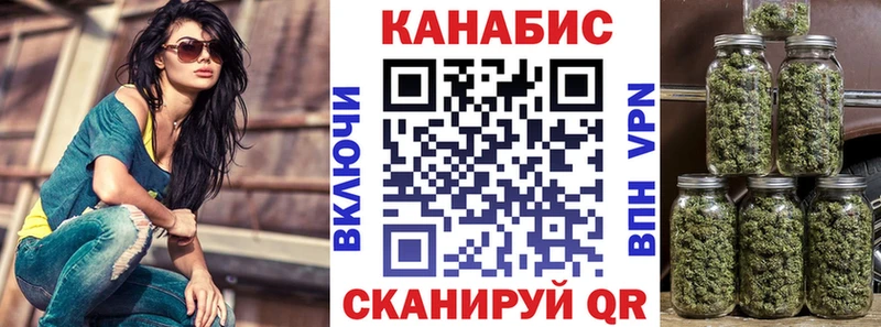Шишки марихуана планчик  Тырныауз 